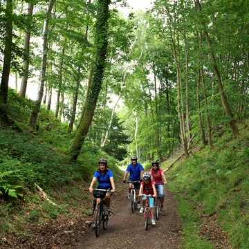 15 mins drive, 5 miles, GL16 7EH - To start of 11 miles Family Cycle Trail